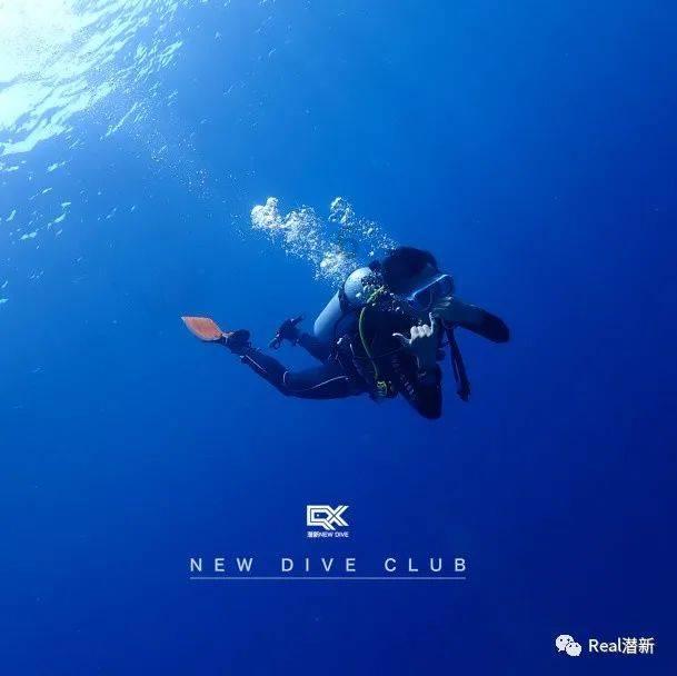 虫虫助手下载