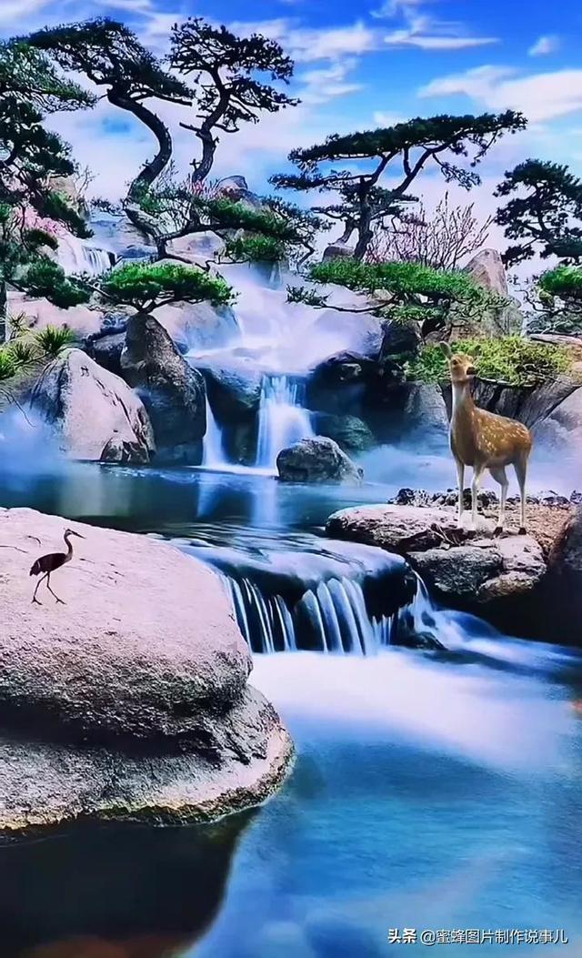 除虫大师