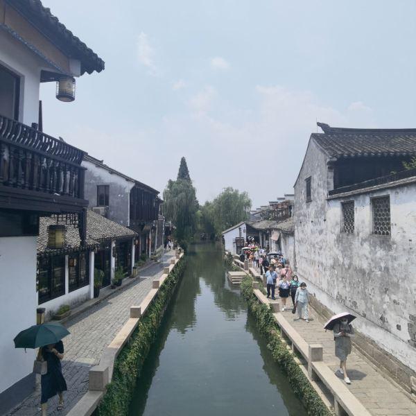 二哈刚进新家就狂挖洞，主人差点吓尿：挖槽！这狗救了整个小区的命啊！